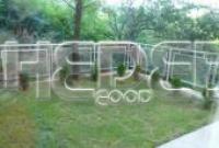 Holiday complex Chayka resort