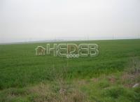 Agricultural land Topoli village