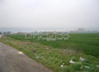 Agricultural land Topoli village