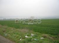 Agricultural land Topoli village